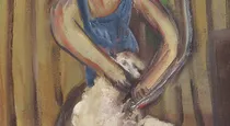 The shearer