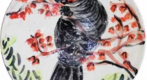 Gang-gang Male, 2015