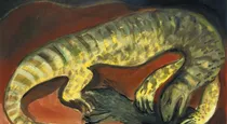 Perentie eating a Frillneck