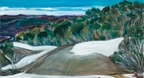 Rosellas eating snow