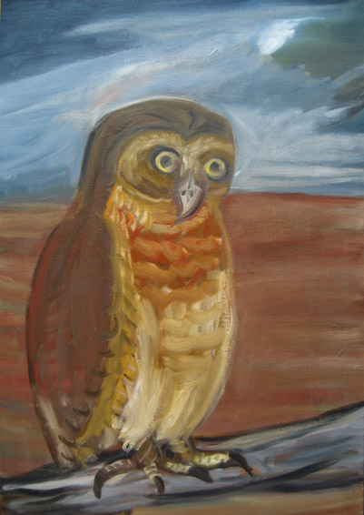 Owl